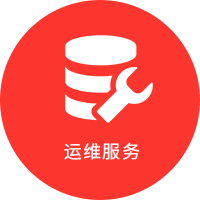 BBV·BBV（中国）官方网软件运维服务