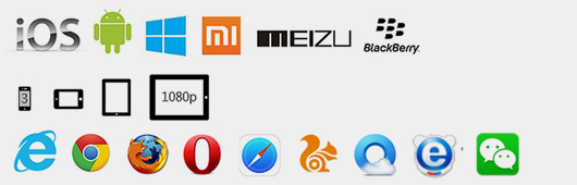 BBV·BBV（中国）官方网网站技术优势