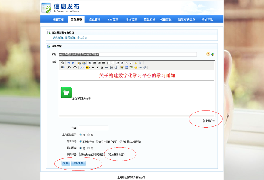 内容管理